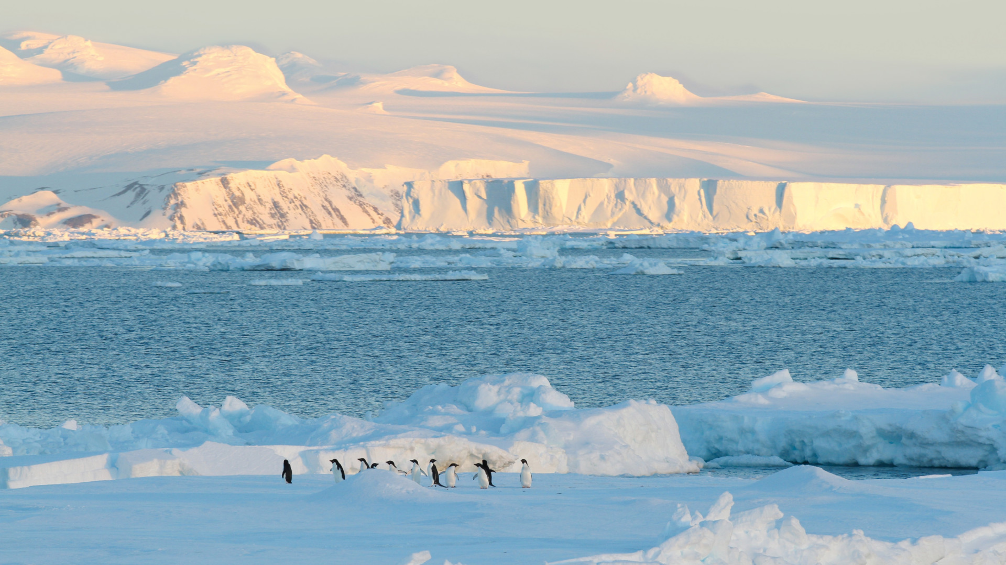 Antarctica — penguins on ice with glaciers and icebergs